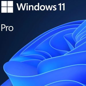 Microsoft Windows 11 Pro
